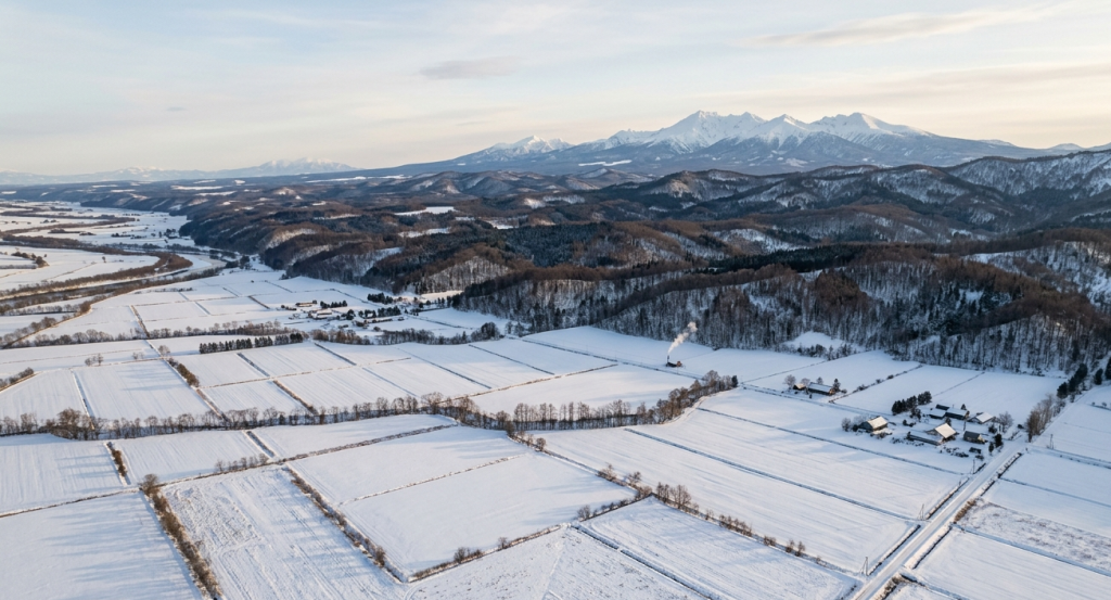 雪に覆われた十勝の畑作地帯と森林、遠くに山並みが広がる冬の風景